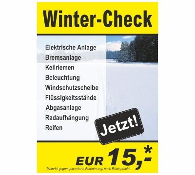 plakat-din-a1-winter-check-details