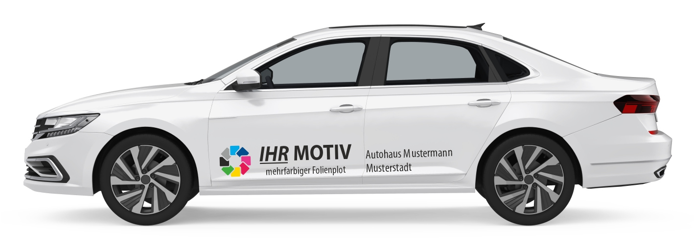 Vorführwagen-Beschriftung in 5 Standardgrößen - 650 x 150 mm 