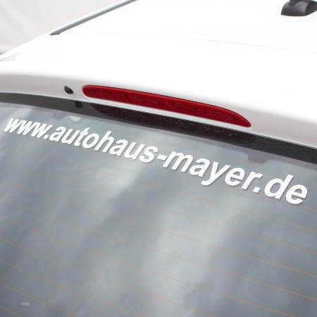 Qualität, auffällig und erschwinglich auto heckscheibe führte