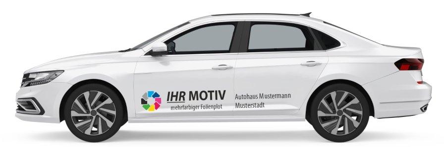 Vorführwagen-Beschriftung in 5 Standardgrößen - 650 x 150 mm 