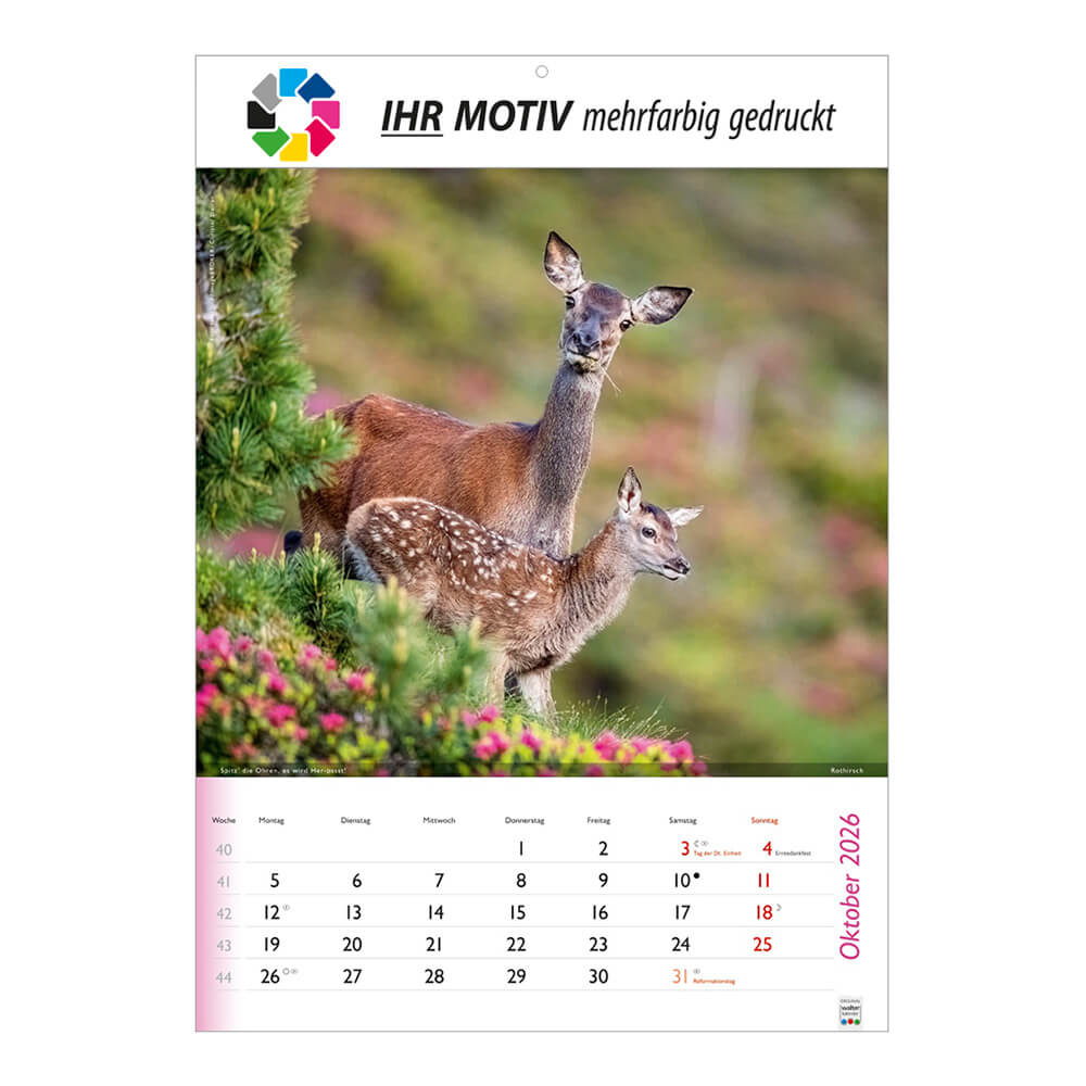 Bildkalender Wunderbare Tiere Monat Oktober