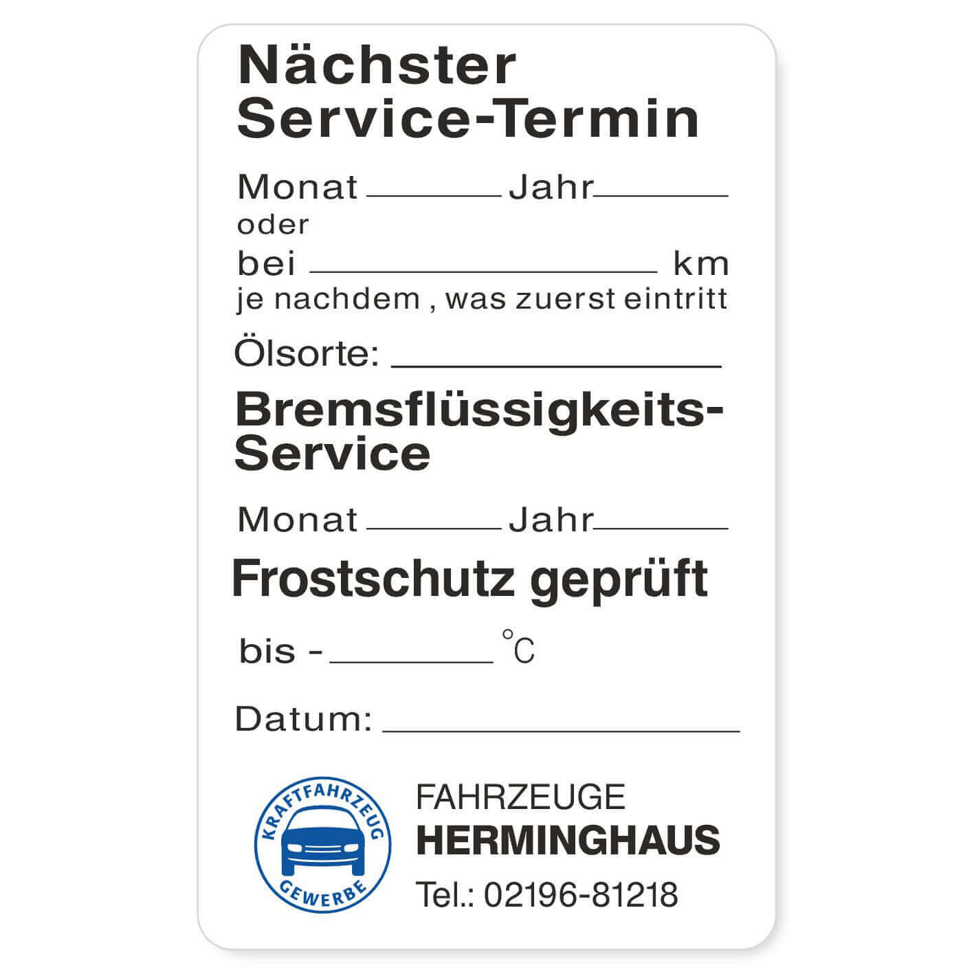 Nächster Service, Bremsflüsskeit, Frostschutz Beispiel 3