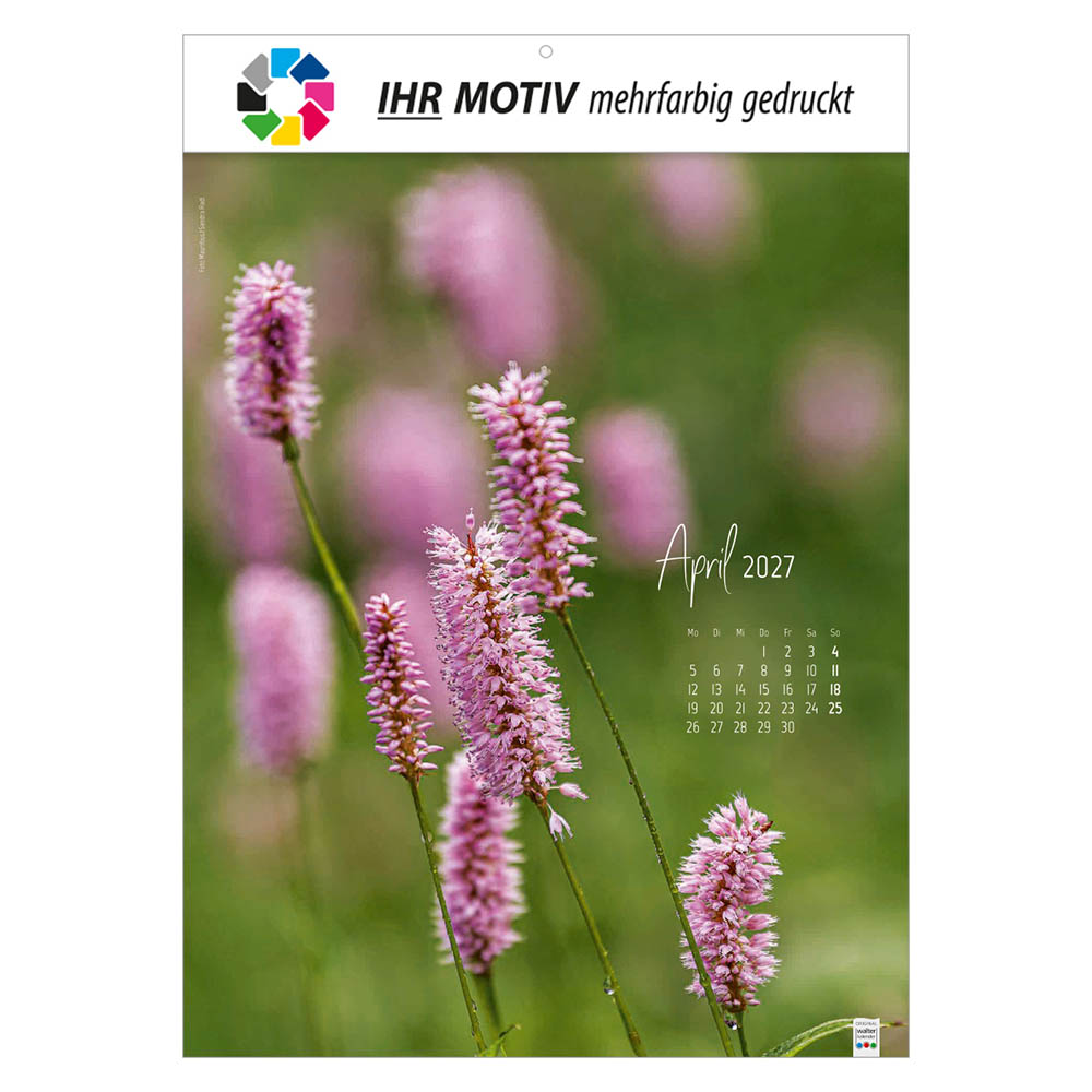 Bildkalender Natur ganz nah, Ausgabe 2027 Monat April