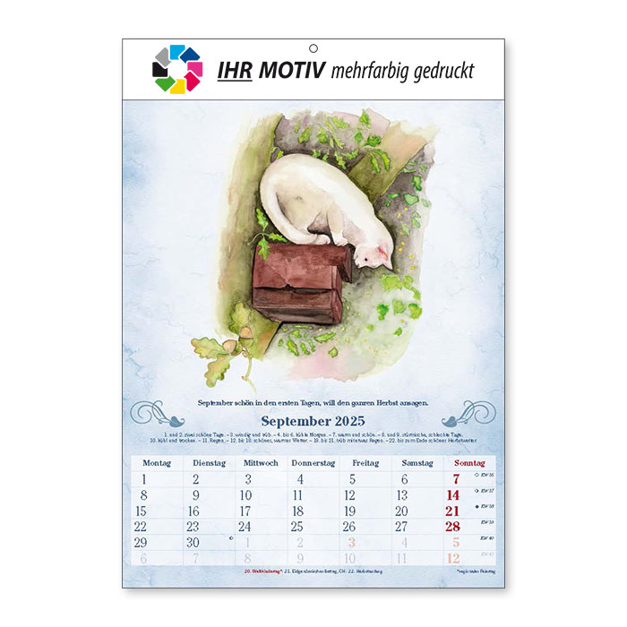Bildkalender Der 100-Jährige Ausgabe 2025 September
