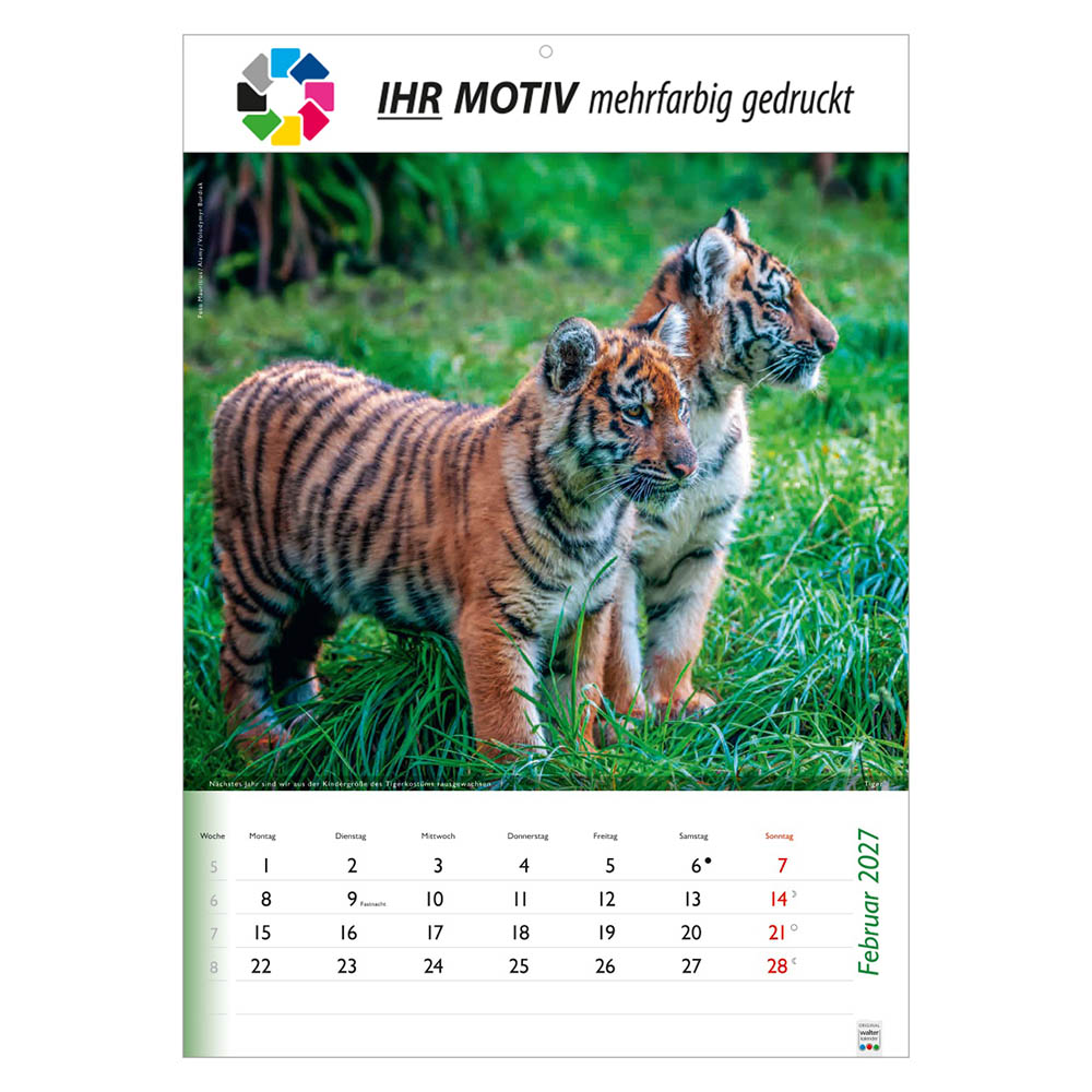Bildkalender Wunderbare Tiere, Ausgabe 2027 Monat Februar