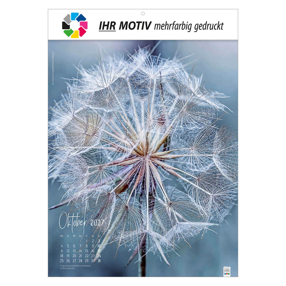 Bildkalender Natur ganz nah, Ausgabe 2027 Monat Oktober