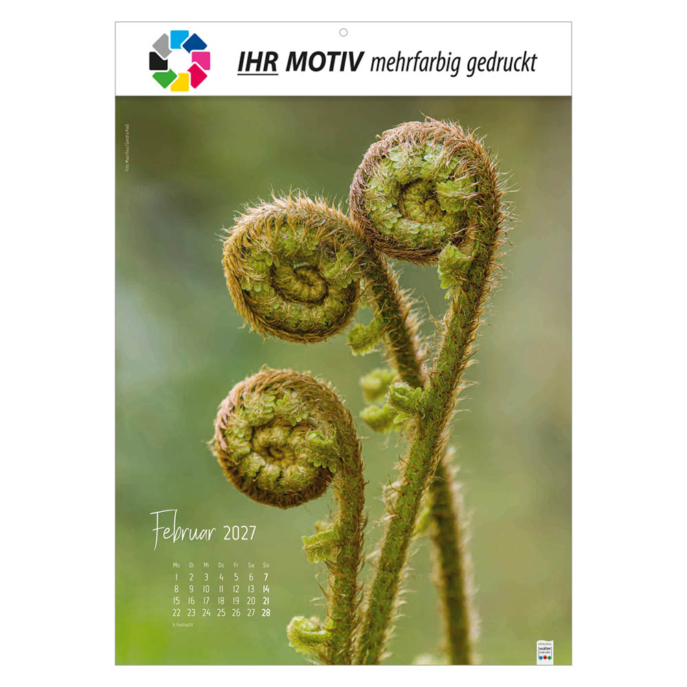Bildkalender Natur ganz nah, Ausgabe 2027 Monat Februar