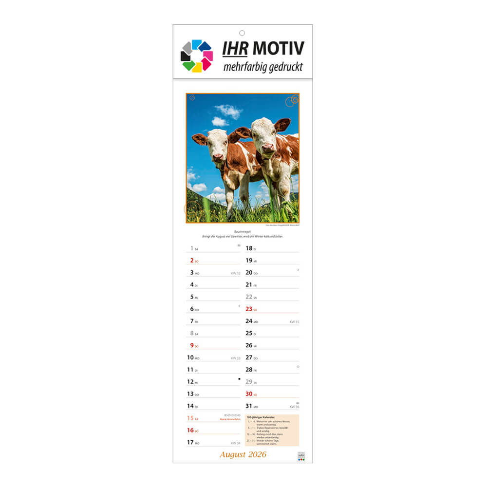Streifenkalender Landpartie Monat August