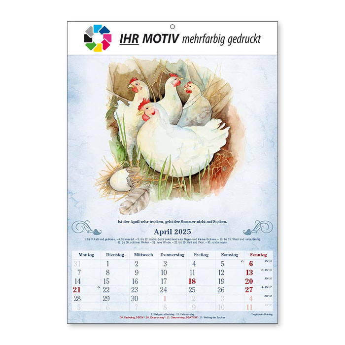 Bildkalender Der 100-Jährige Ausgabe 2025 April