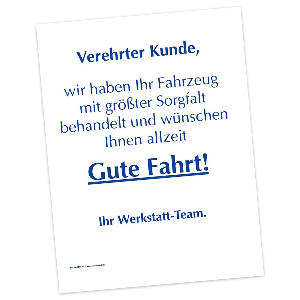 Vorschau: Einweg-Autoteppichschoner