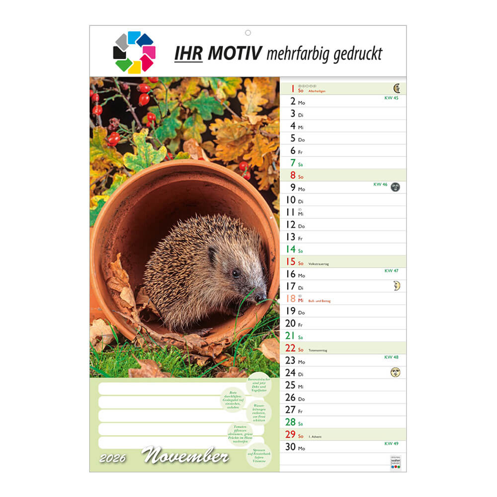 Bildkalender Günthers Gartenplaner Monat November