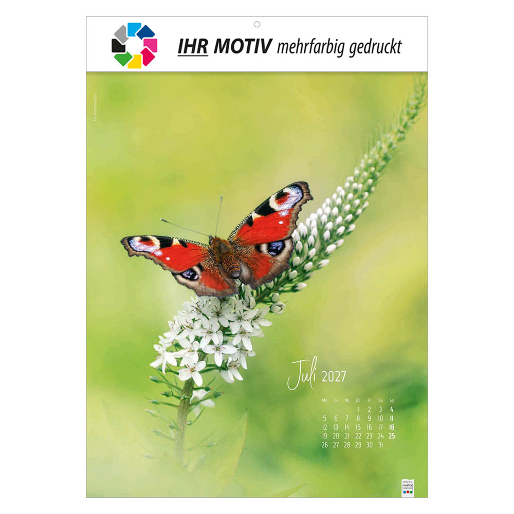 Bildkalender Natur ganz nah, Ausgabe 2027 Monat Juli