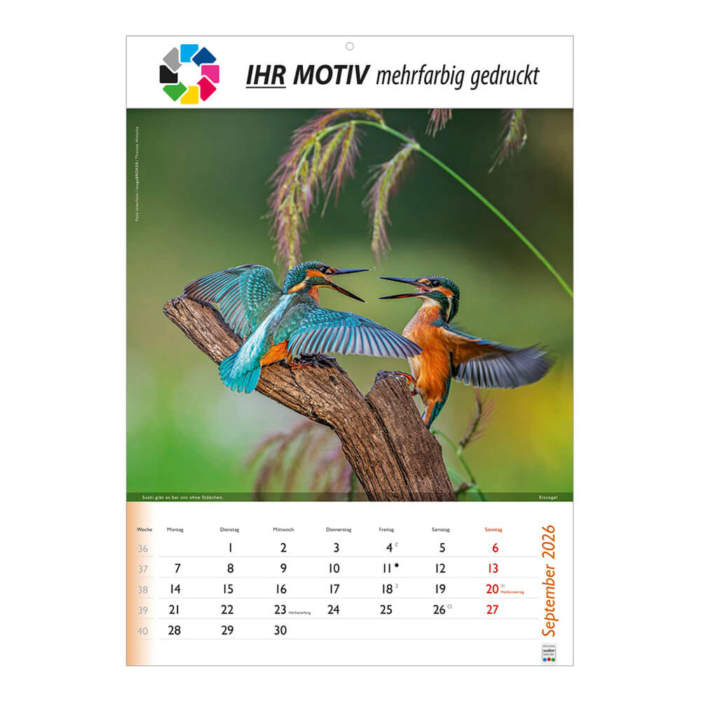 Bildkalender Wunderbare Tiere Monat September