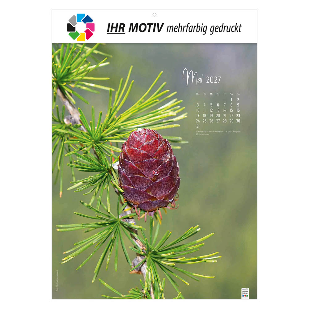 Bildkalender Natur ganz nah, Ausgabe 2027 Monat Mai
