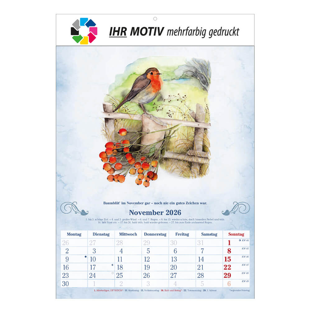 Bildkalender Der 100-Jährige Monat November