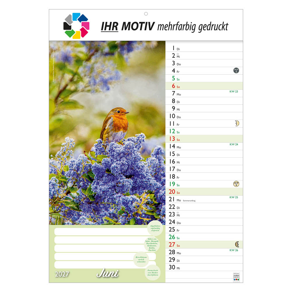 Bildkalender Günthers Gartenplaner, Ausgabe 2027 Monat Juni