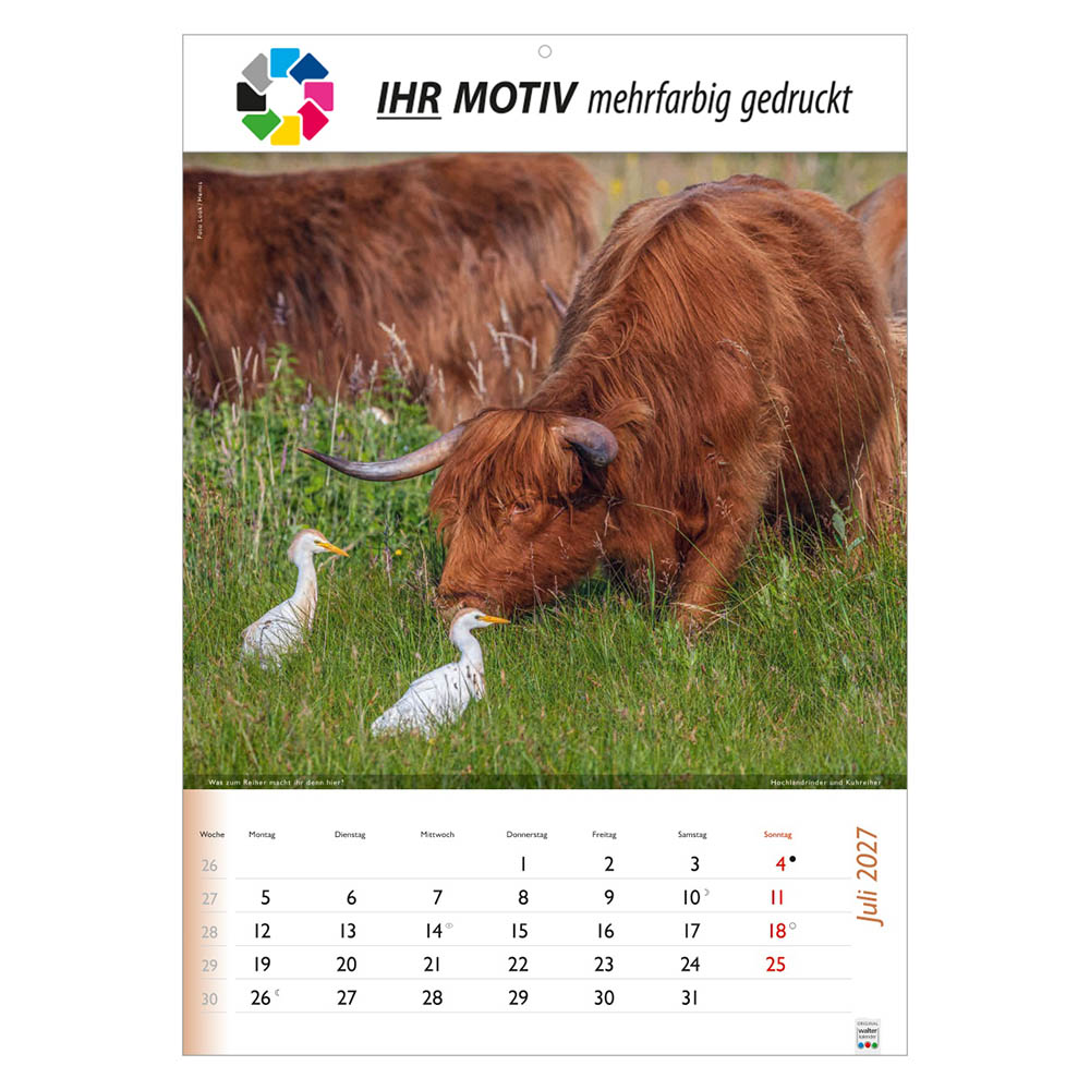 Bildkalender Wunderbare Tiere, Ausgabe 2027 Monat Juli