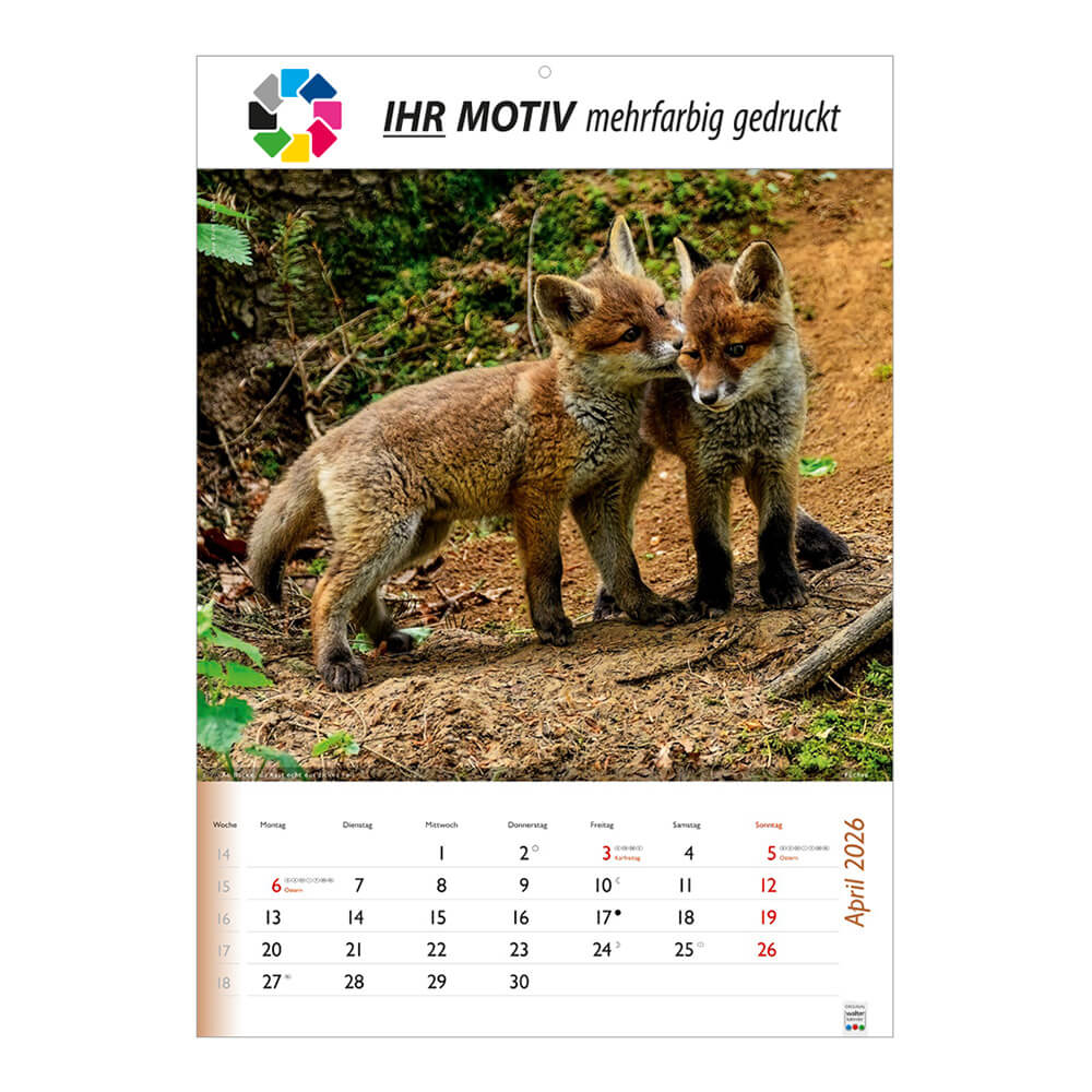 Bildkalender Wunderbare Tiere Monat April