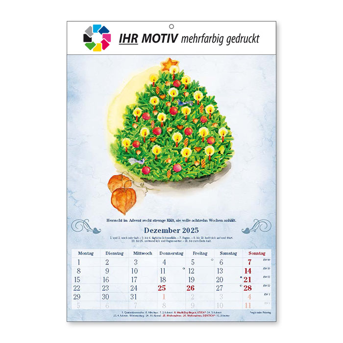 Bildkalender Der 100-Jährige Ausgabe 2025 Dezember