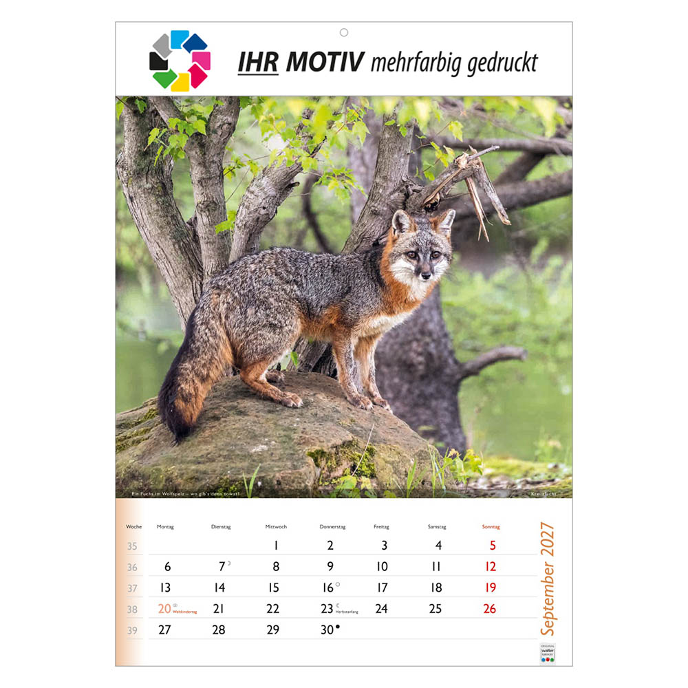 Bildkalender Wunderbare Tiere, Ausgabe 2027 Monat September