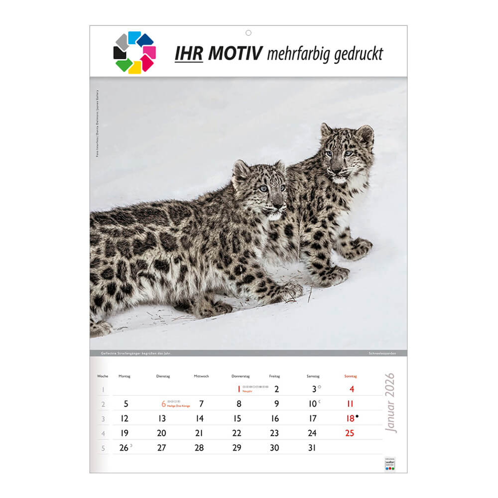 Bildkalender Wunderbare Tiere Monat Januar