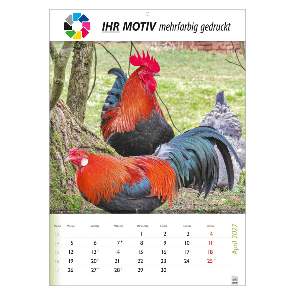 Bildkalender Wunderbare Tiere, Ausgabe 2027 Monat April