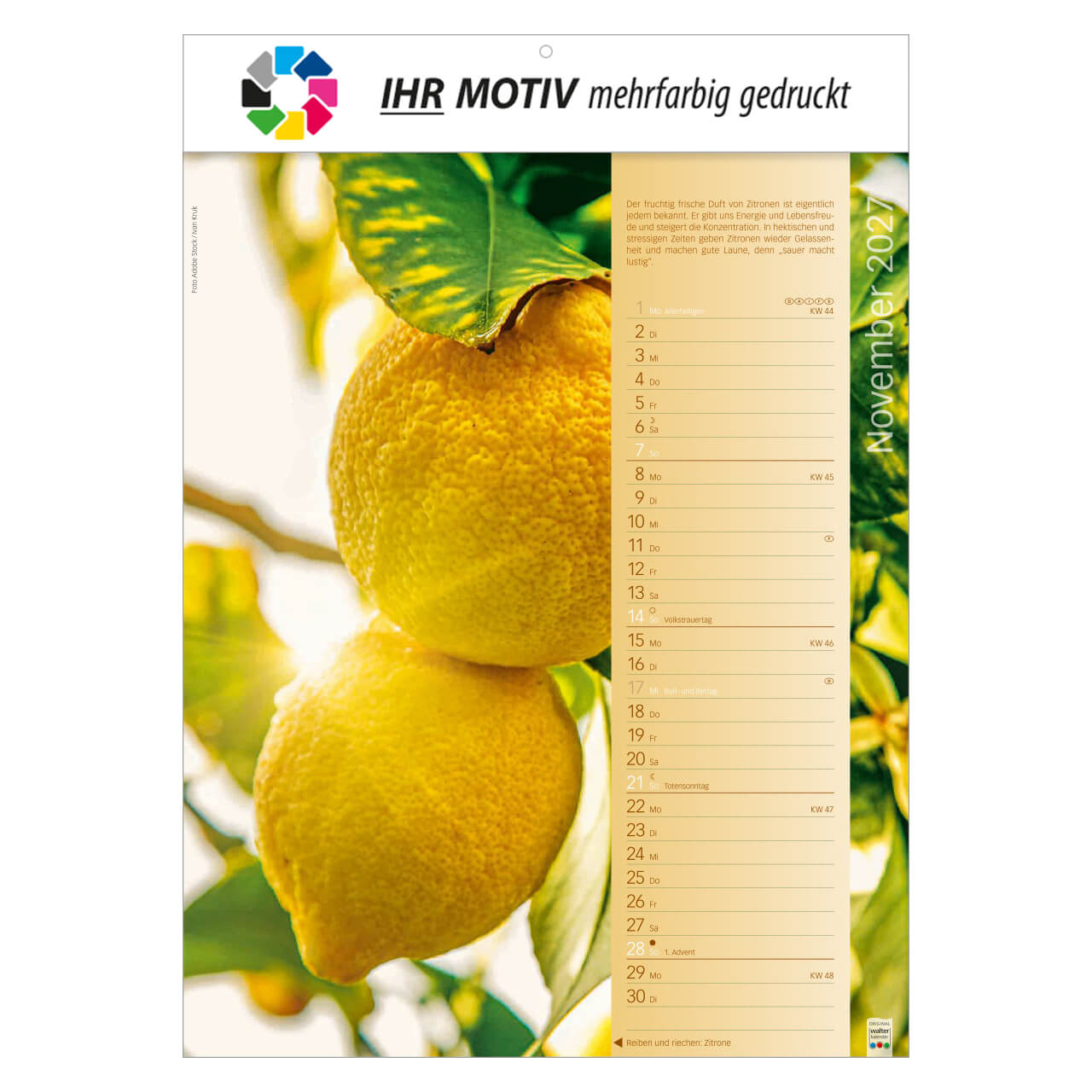 Bildkalender Erlebniswelt der Düfte, Ausgabe 2027 Monat November