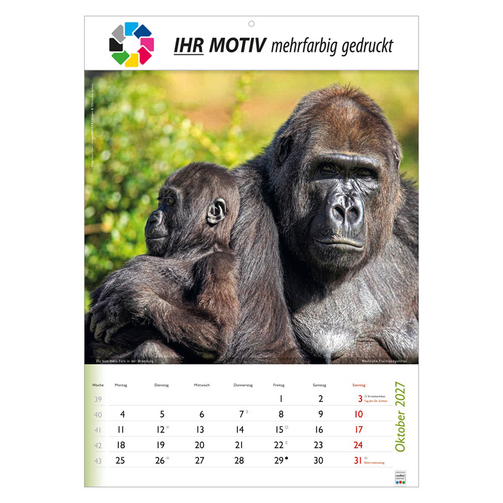 Bildkalender Wunderbare Tiere, Ausgabe 2027 Monat Oktober