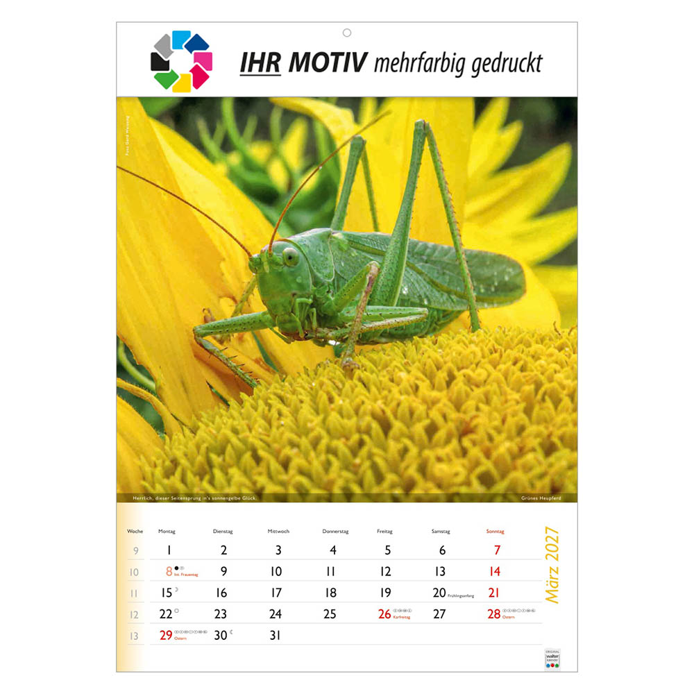 Bildkalender Wunderbare Tiere, Ausgabe 2027 Monat März