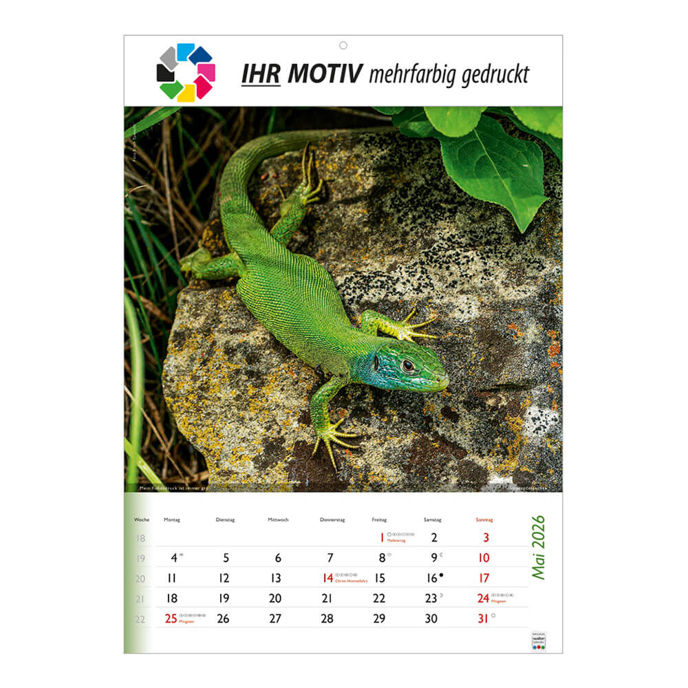 Bildkalender Wunderbare Tiere Monat Mai
