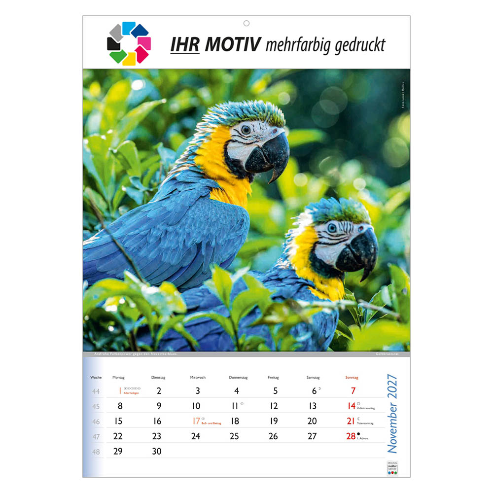 Bildkalender Wunderbare Tiere, Ausgabe 2027 Monat November