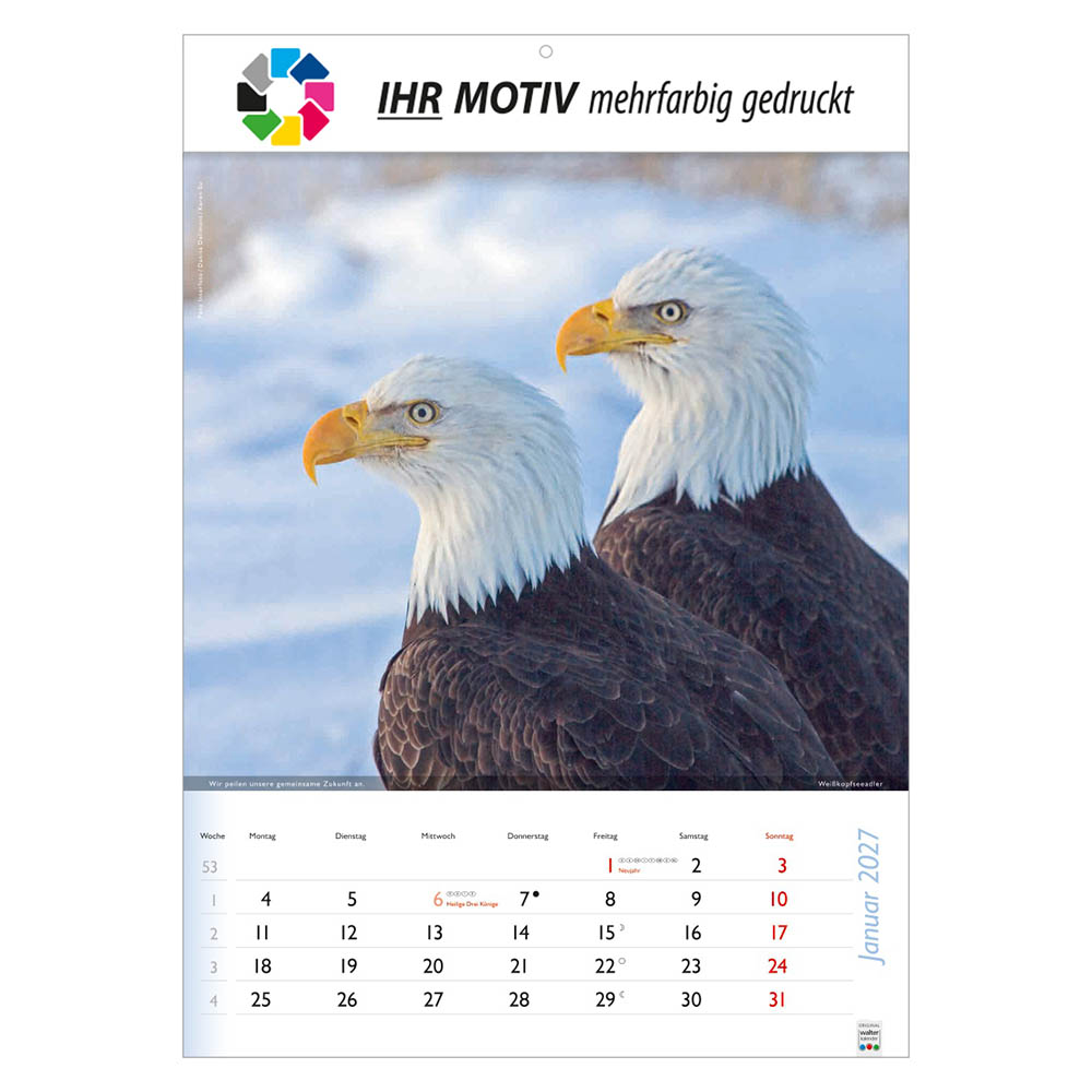 Bildkalender Wunderbare Tiere, Ausgabe 2027 Monat Januar