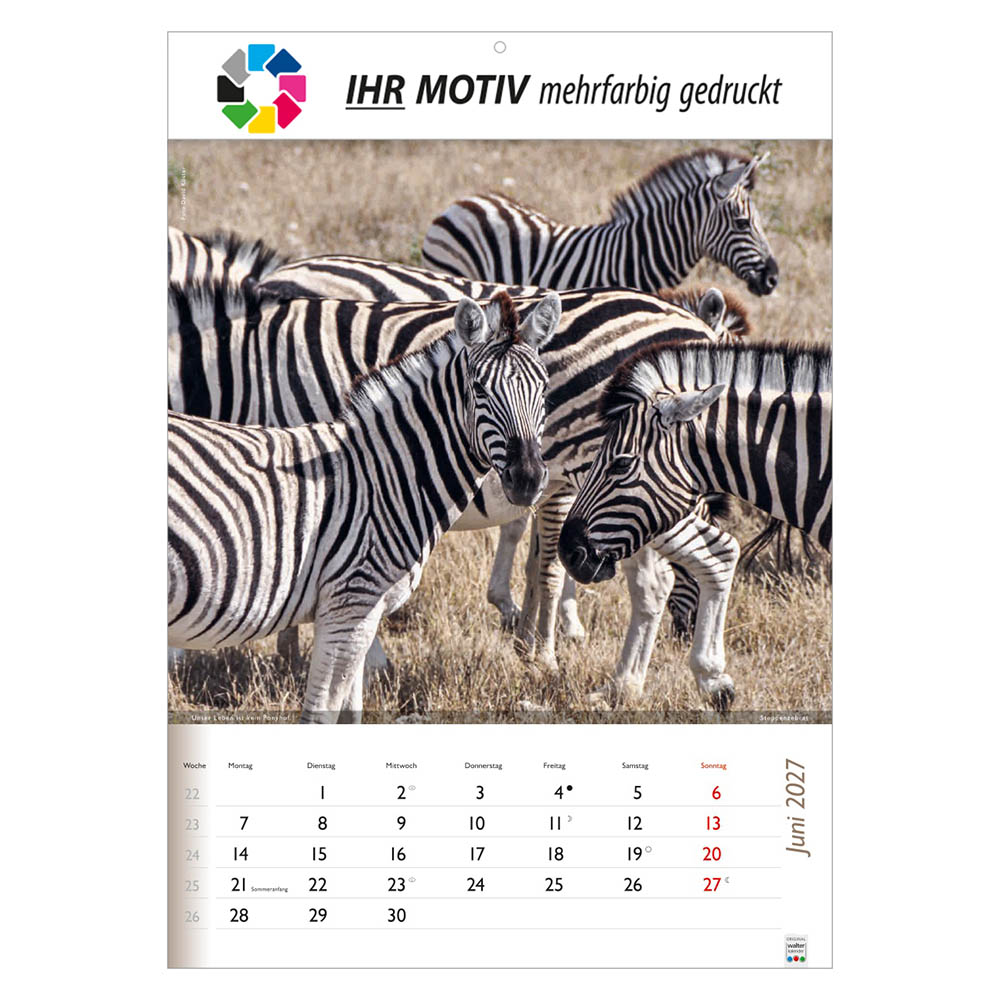 Bildkalender Wunderbare Tiere, Ausgabe 2027 Monat Juni