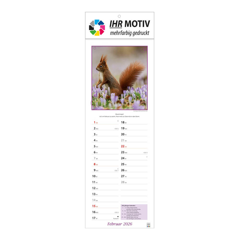 Streifenkalender Landpartie Monat Februar
