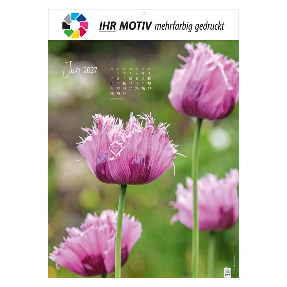 Bildkalender Natur ganz nah, Ausgabe 2027 Monat Juni