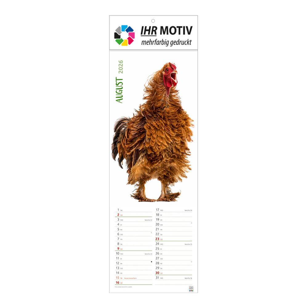 Streifenkalender Einfach tierisch Monat August