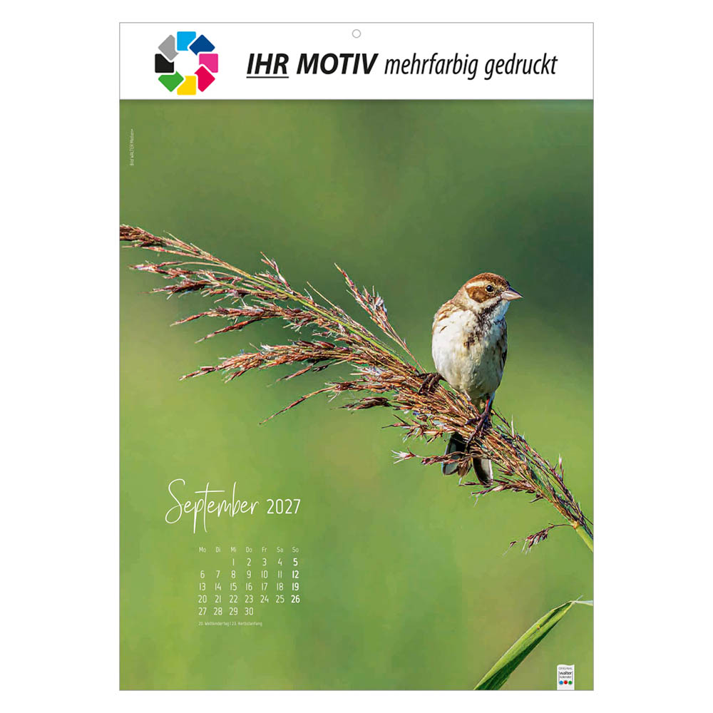 Bildkalender Natur ganz nah, Ausgabe 2027 Monat September