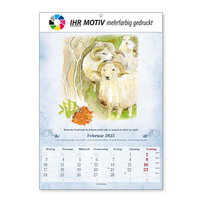 Bildkalender Der 100-Jährige Ausgabe 2025 Februar