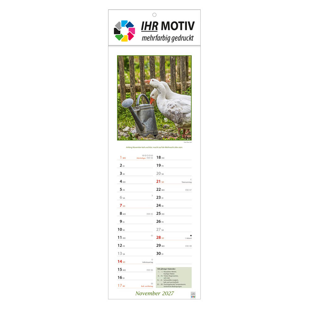 Streifenkalender Landpartie, Ausgabe 2027 Monat November