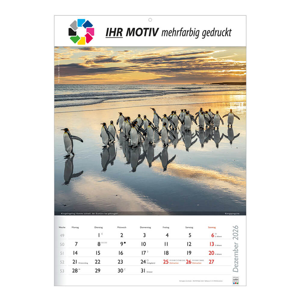 Bildkalender Wunderbare Tiere Monat Dezember