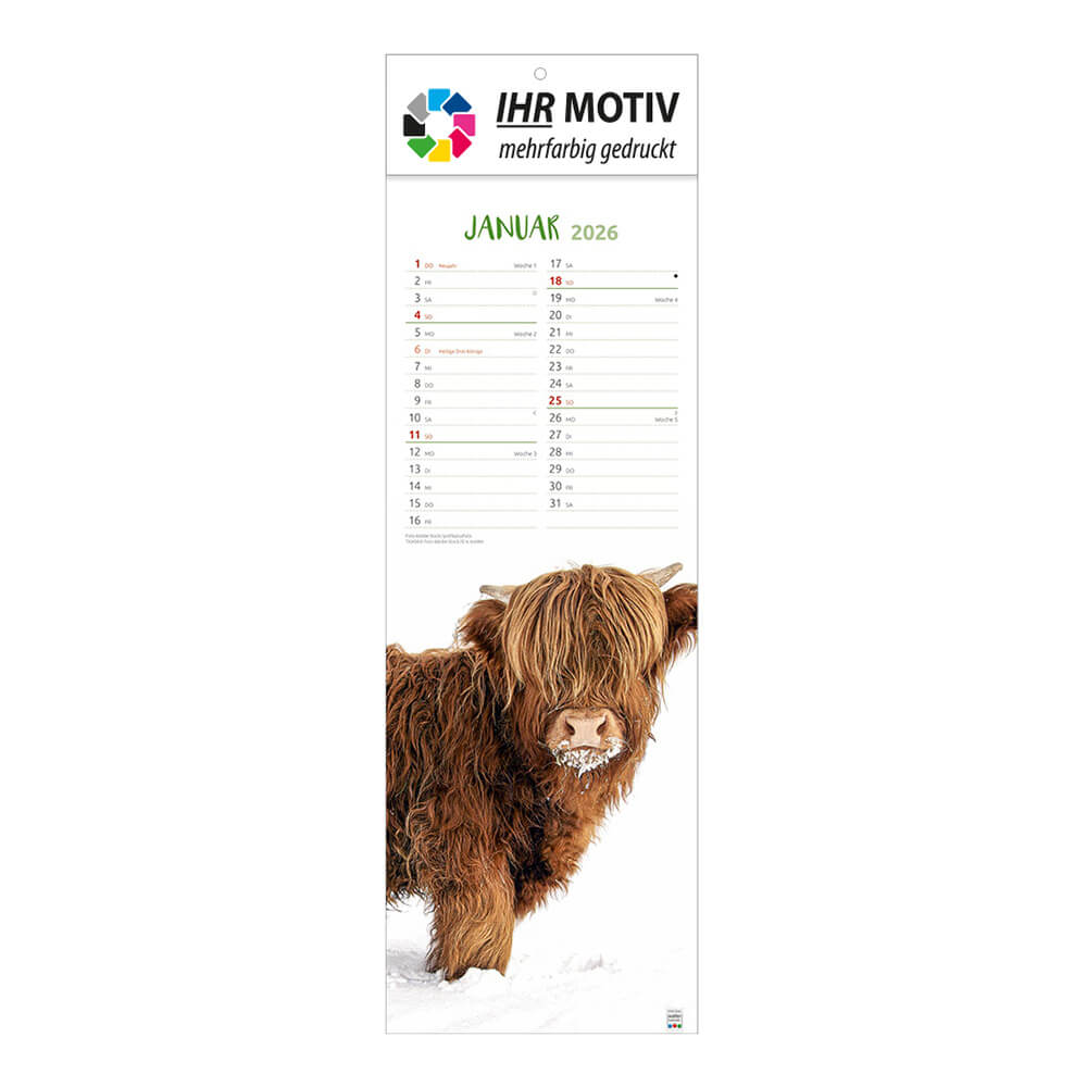 Streifenkalender Einfach tierisch Monat Januar