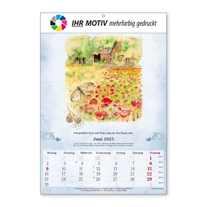 Bildkalender Der 100-Jährige Ausgabe 2025 Juni