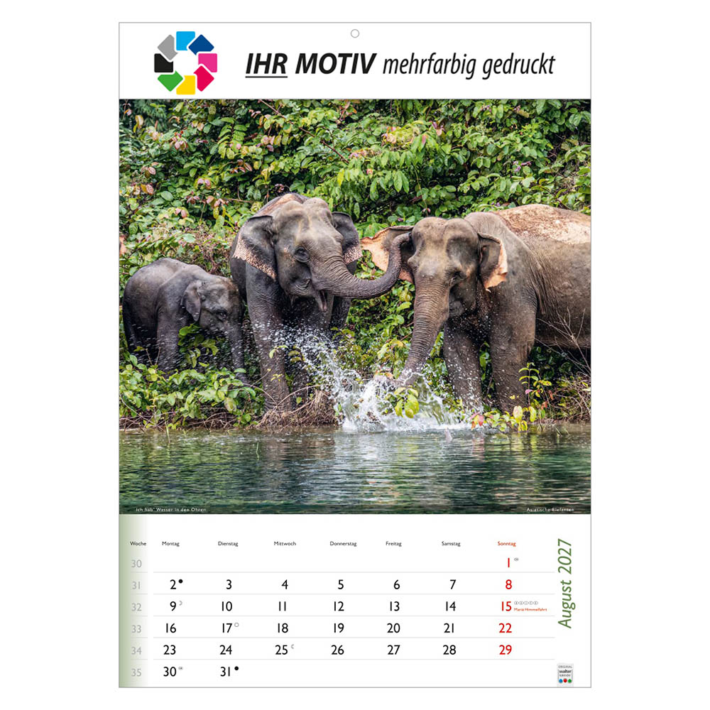 Bildkalender Wunderbare Tiere, Ausgabe 2027 Monat August