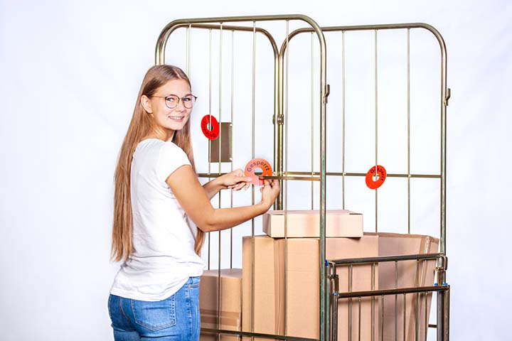 Vorschau: Beschriftete Signalringe