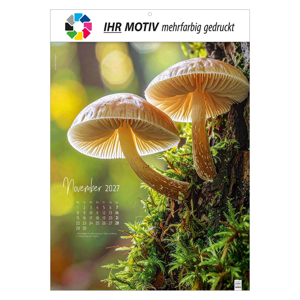 Bildkalender Natur ganz nah, Ausgabe 2027 Monat November
