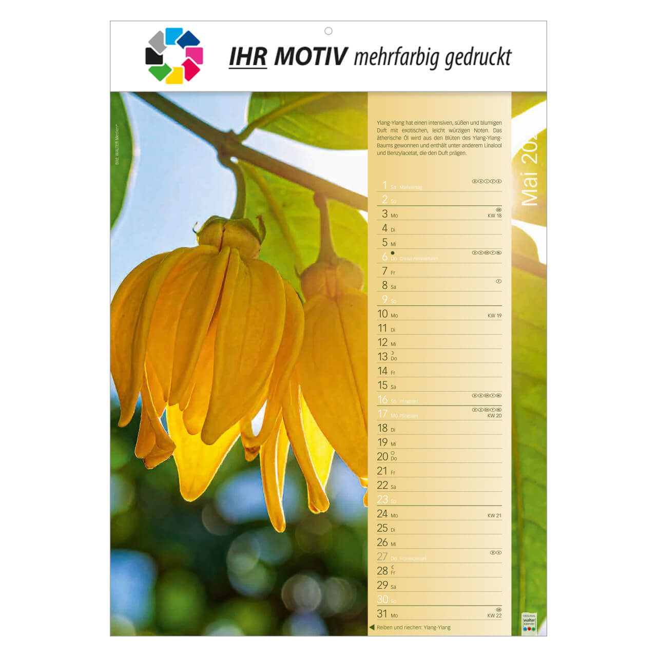 Bildkalender Erlebniswelt der Düfte, Ausgabe 2027 Monat Mai