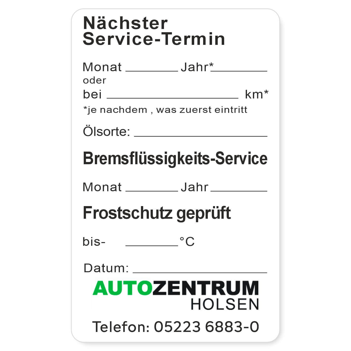 Nächster Service, Bremsflüsskeit, Frostschutz Beispiel 2