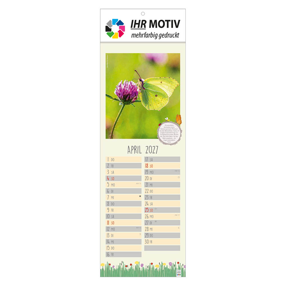 Streifenkalender Naturnah, Ausgabe 2027 Monat April