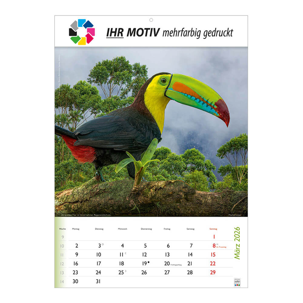 Bildkalender Wunderbare Tiere Monat März