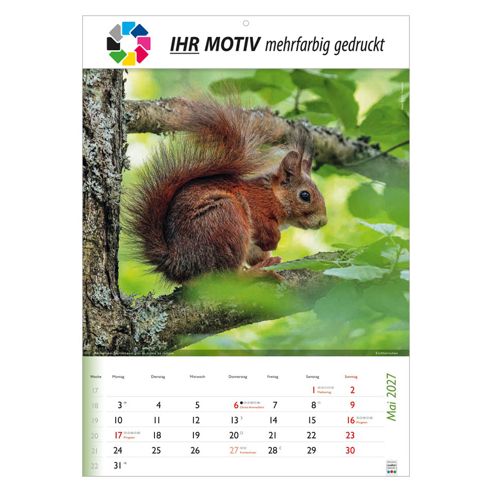 Bildkalender Wunderbare Tiere, Ausgabe 2027 Monat Mai